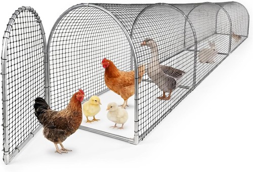 Chicken run tunnel - chicken,