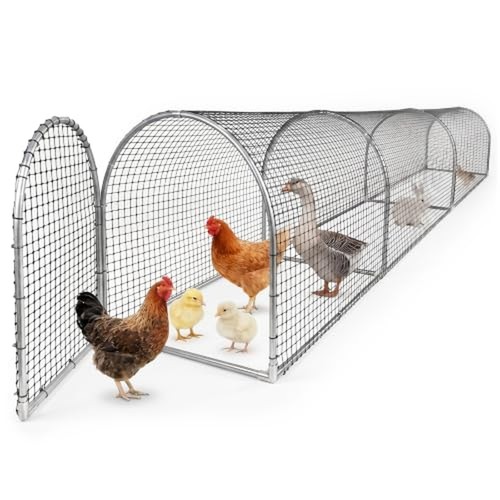 Chicken run tunnel metal - chicken,
