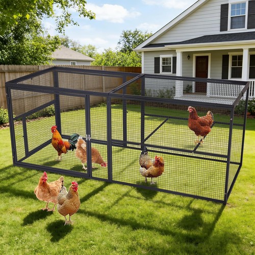 Outdoor chicken run metal - chicken,